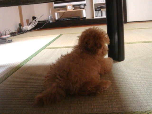 イメージ 8