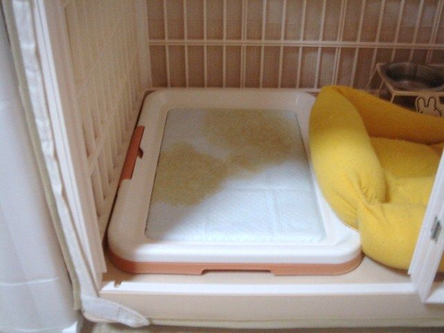 イメージ 9