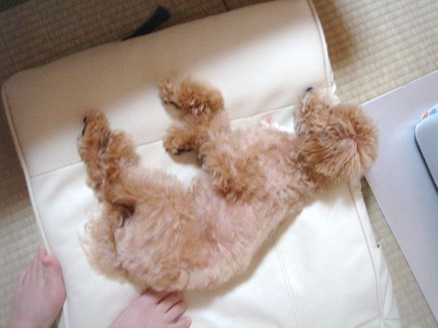 イメージ 3