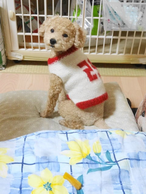 イメージ 6