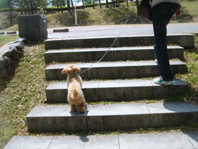 イメージ 14