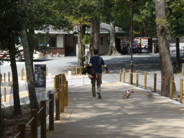 イメージ 9