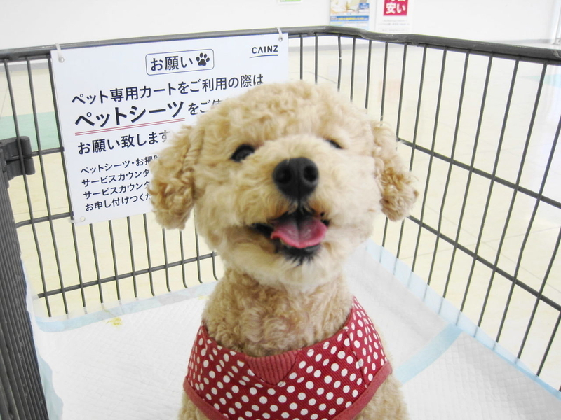 イメージ 2