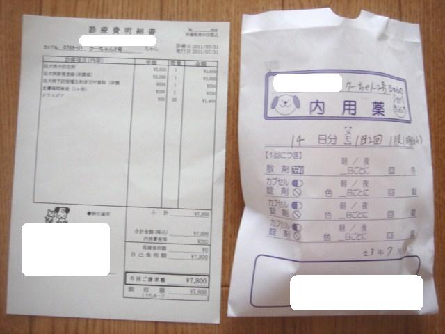 イメージ 8
