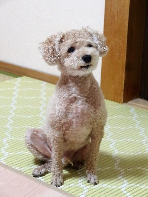 DSC04828