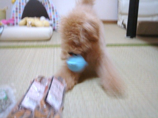 イメージ 3