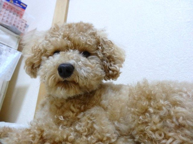 イメージ 2