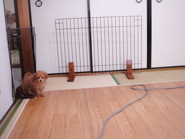 イメージ 10