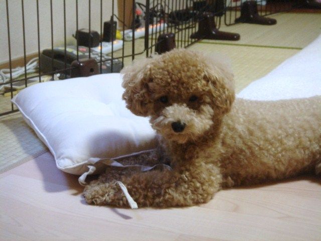 イメージ 1