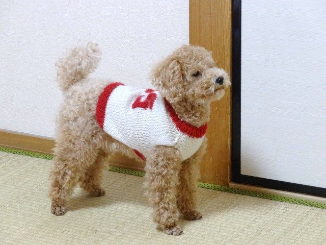 イメージ 2