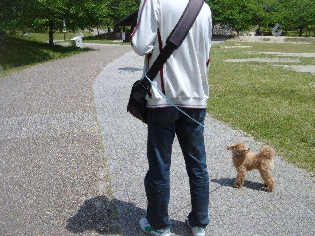 イメージ 7