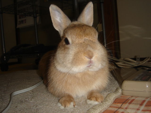 イメージ 3