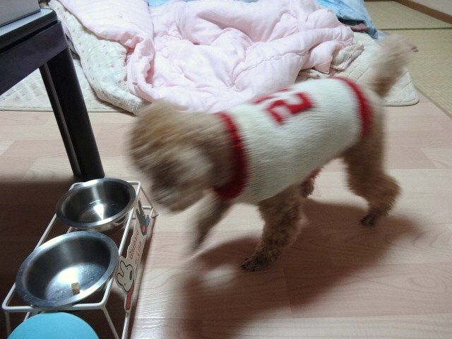 イメージ 10