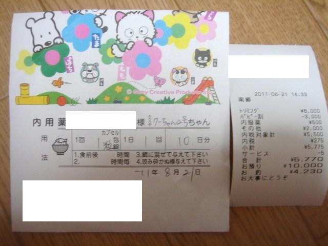 イメージ 6