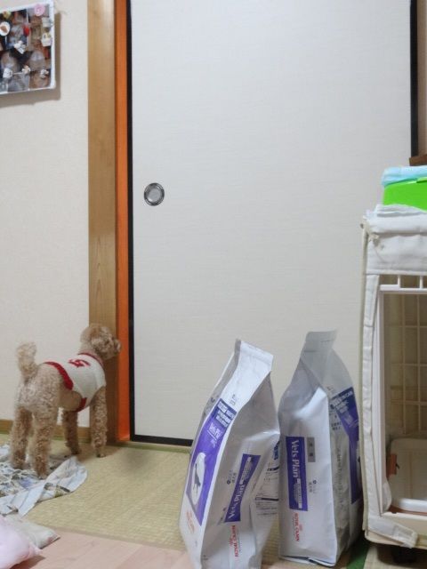 イメージ 4