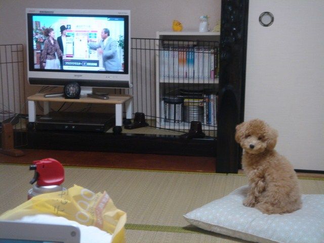 イメージ 4