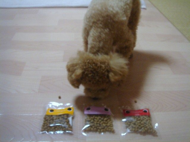 イメージ 3