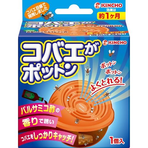 イメージ 5