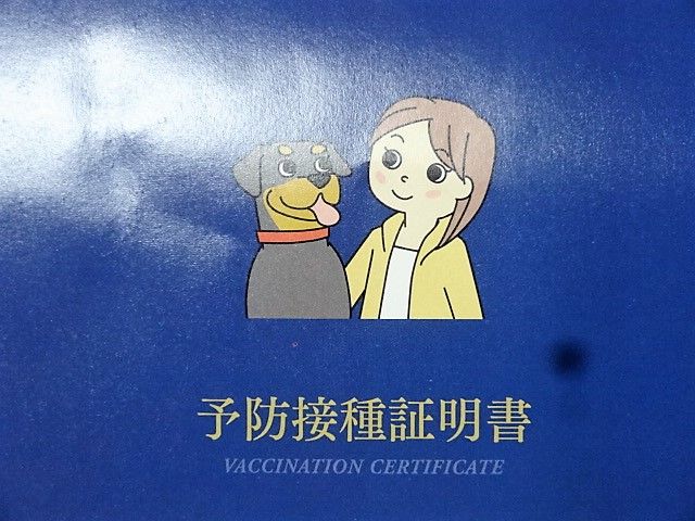 イメージ 5