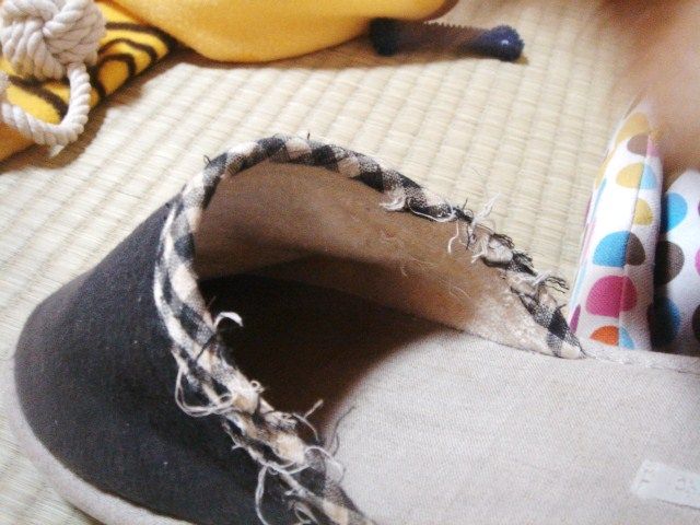 イメージ 5
