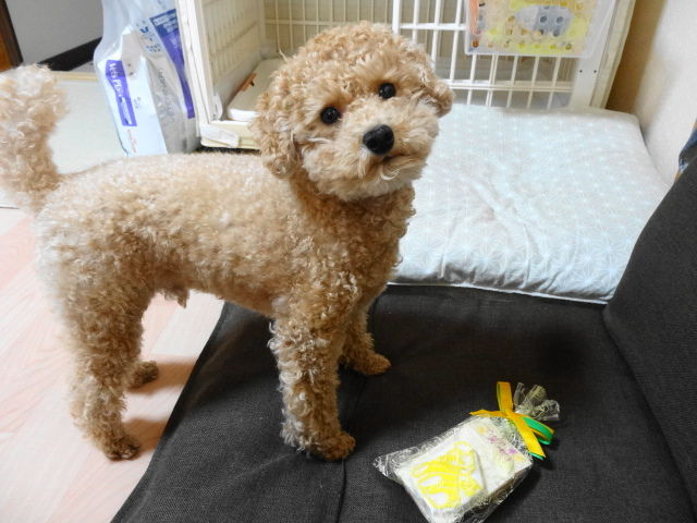 イメージ 2
