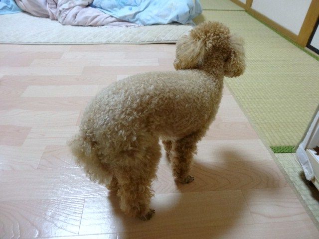 イメージ 1