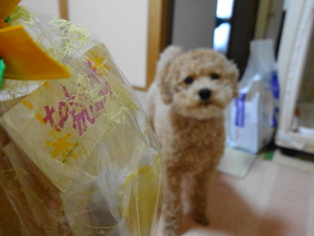 イメージ 3