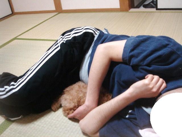 イメージ 2