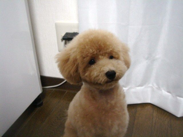 イメージ 6