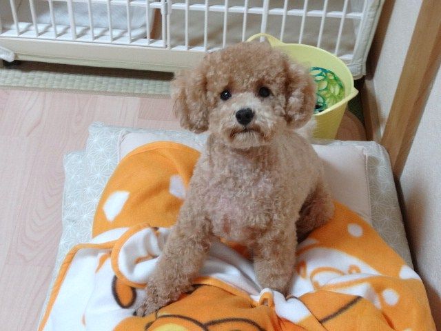 イメージ 1