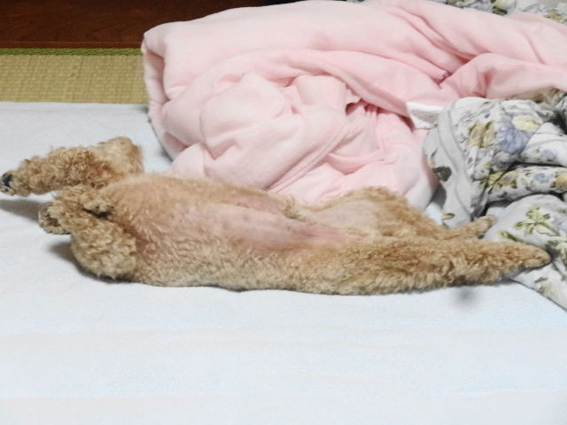 イメージ 3