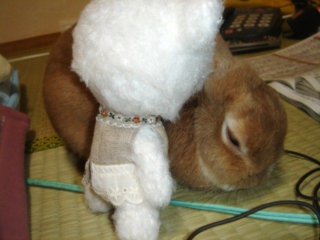 イメージ 3