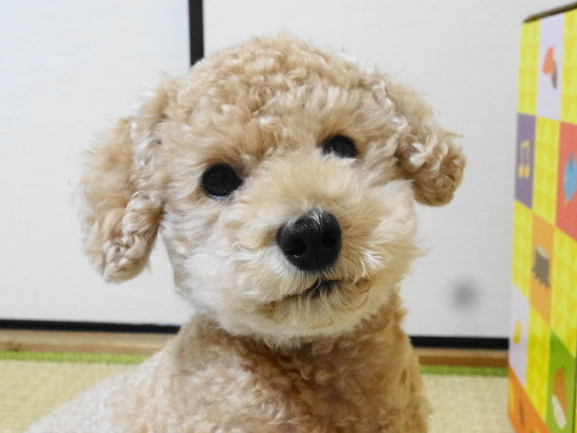 イメージ 7