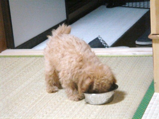 イメージ 3