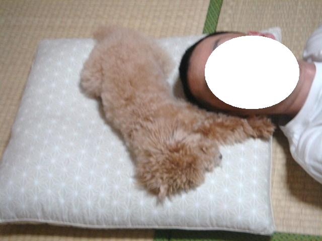 イメージ 4