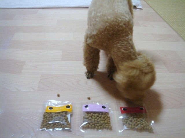 イメージ 4
