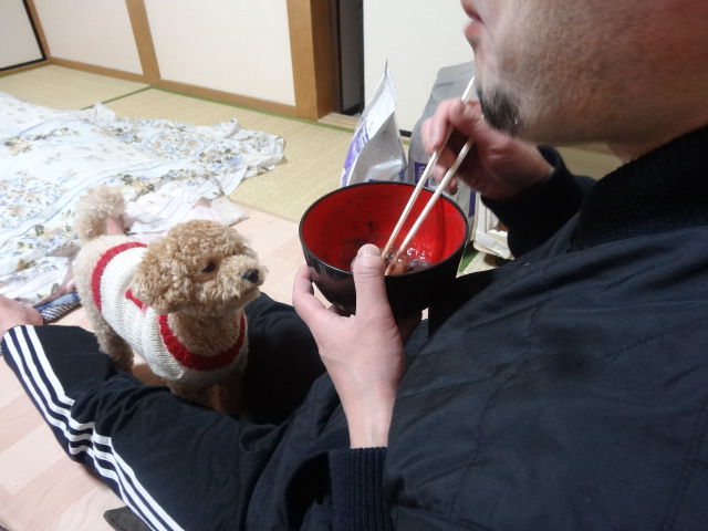 イメージ 5