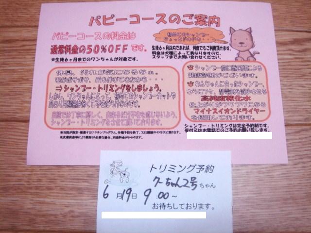 イメージ 4