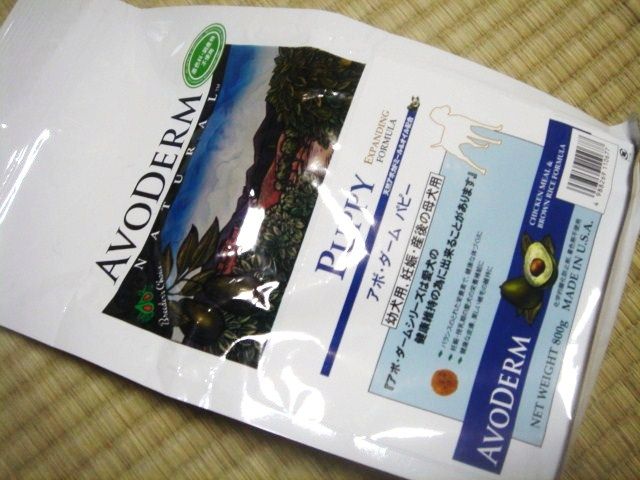 イメージ 9
