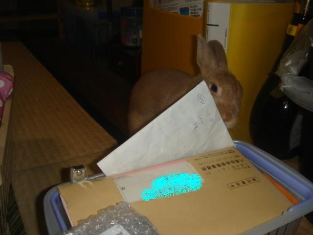 イメージ 9
