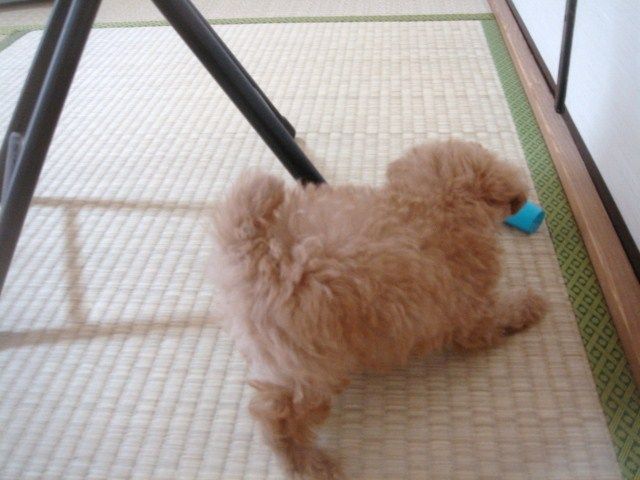 イメージ 3