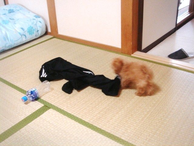 イメージ 2