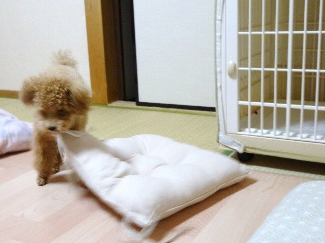 イメージ 3