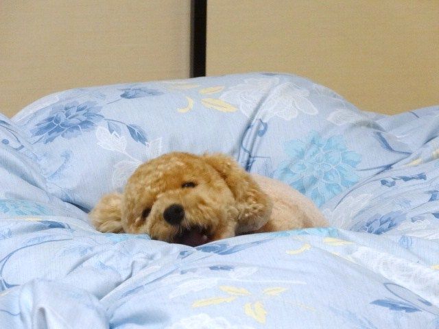 イメージ 3