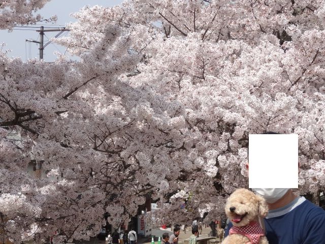 イメージ 13