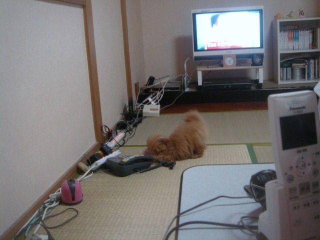イメージ 6