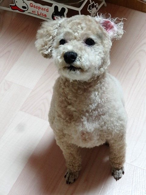 イメージ 1