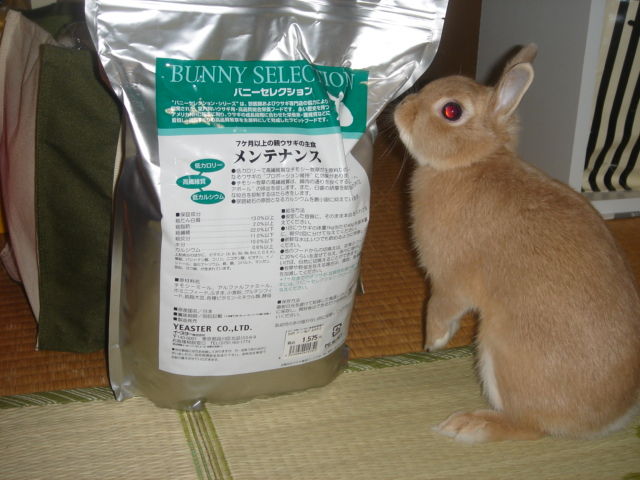 イメージ 6