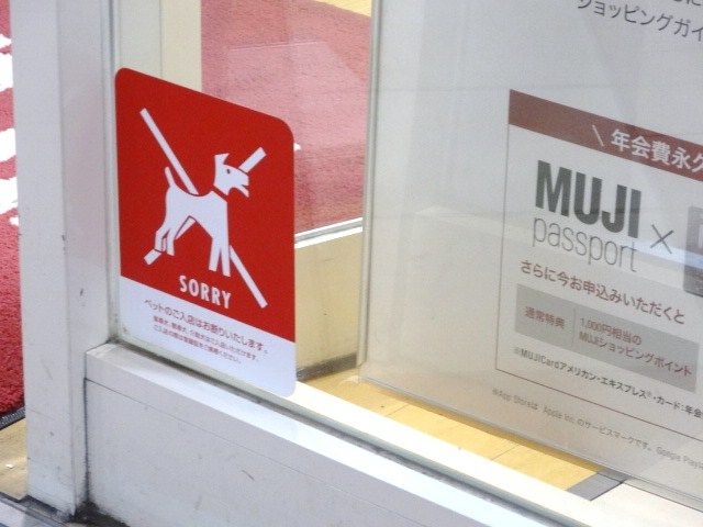 イメージ 9