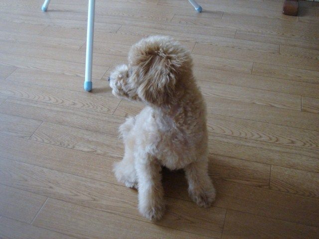 イメージ 6